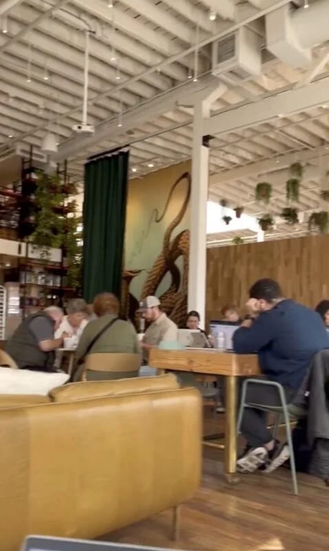 CoffeeShop2-478x800